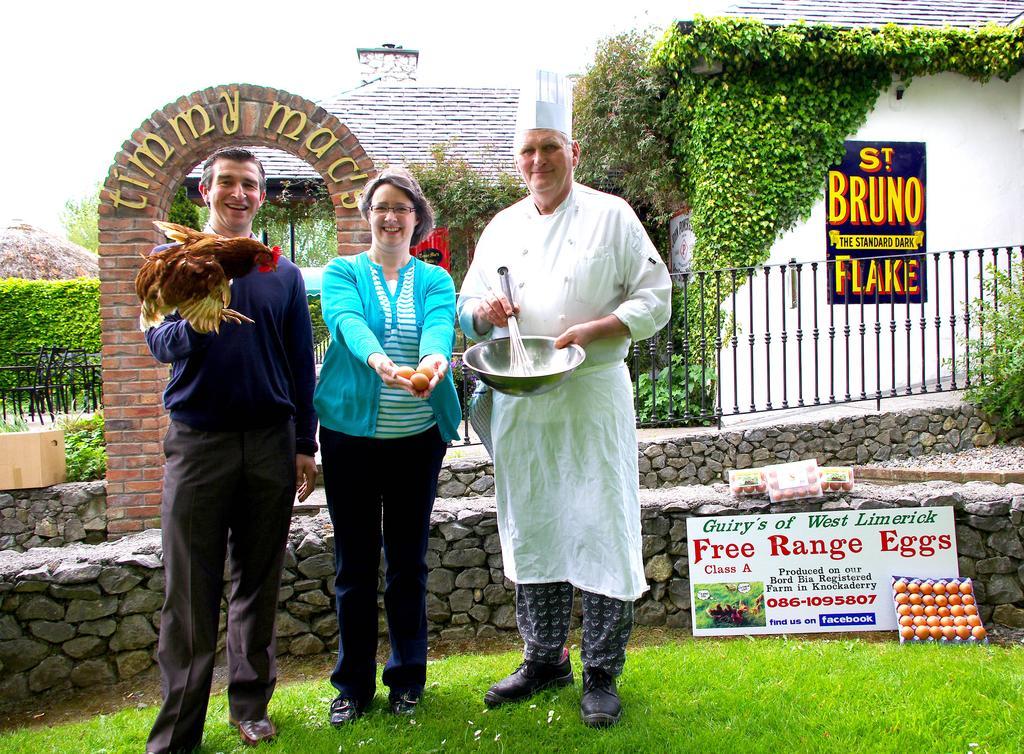 Fitzgeralds Woodlands House Hotel Adare Buitenkant foto
